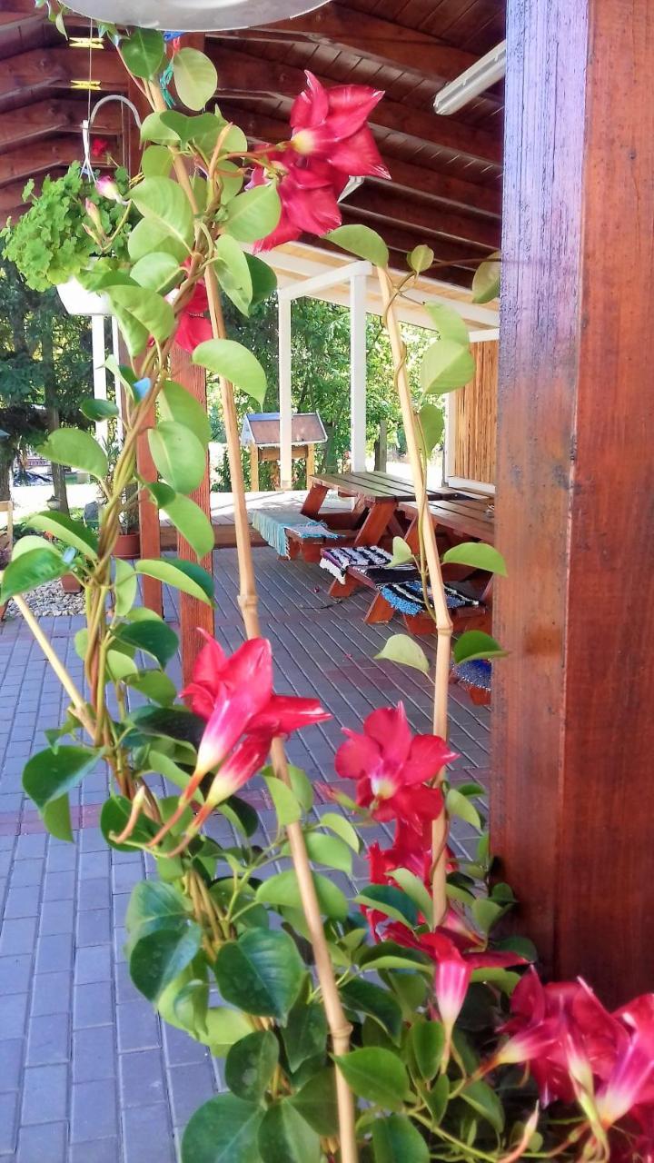 Kristaly Vendeghaz Hotell Bogács Exteriör bild